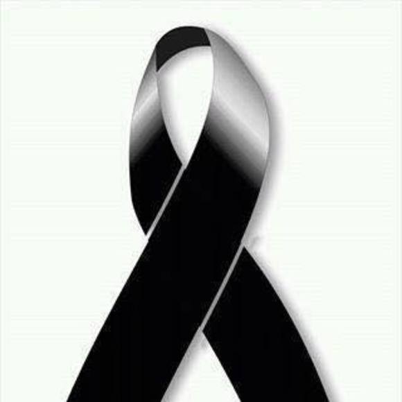 Meet your Posher, Ruby - Picture 1 of 1